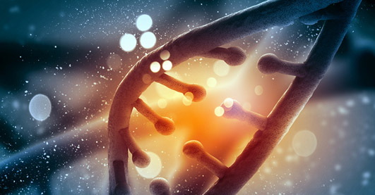 產(chǎn)品實(shí)力